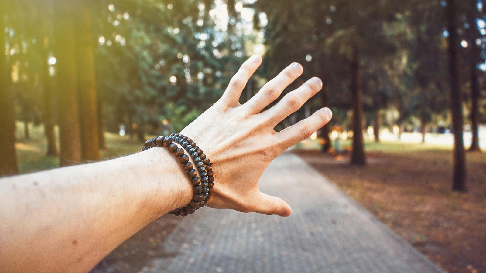 A hand with bracelets reaching out in a sunlit forest path, Vilnius.